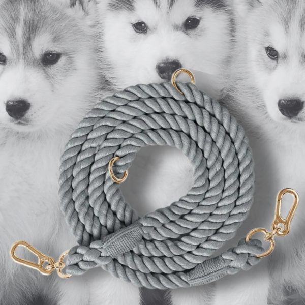 laisse chien corde tressée à la main
