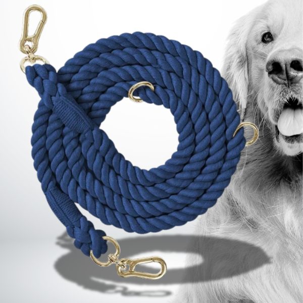 laisse multiposition pour chien en corde