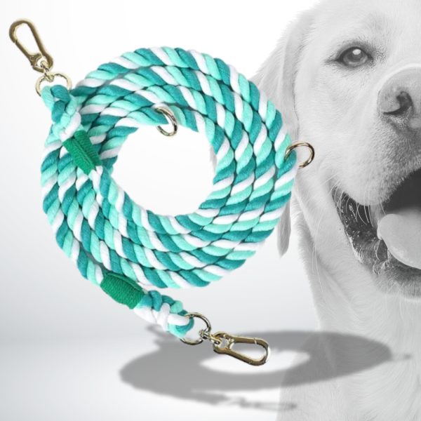 laisse chien corde torsadée