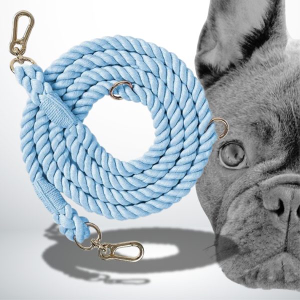 laisse chien corde bleu ciel