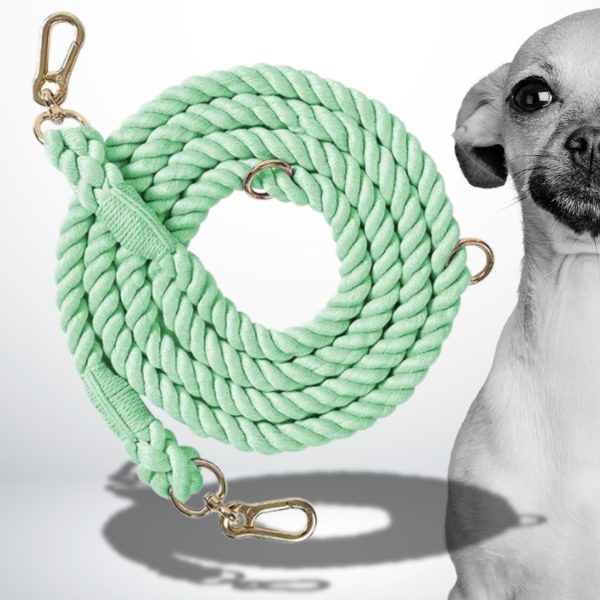 laisse-chien-corde-vert-menthe