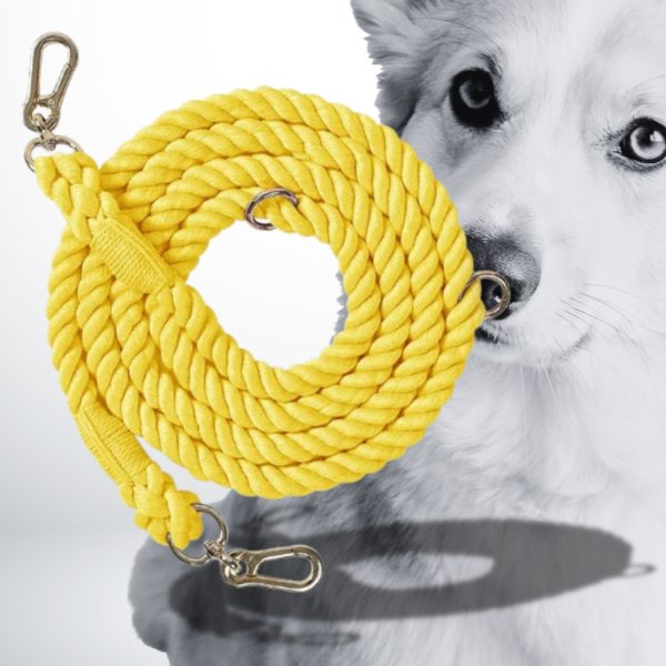 Laisse chien corde chic et attrayante