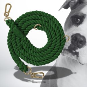 Laisse Chien Corde Souple Et Résistante