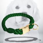 collier résistant pour chien vert émeraude