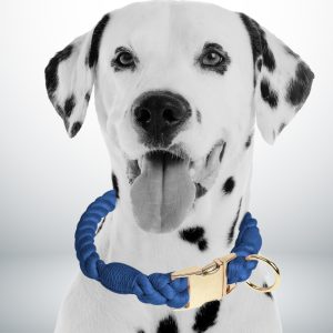 collier chien corde bleu marine