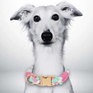 collier chien corde avec boucle en métal