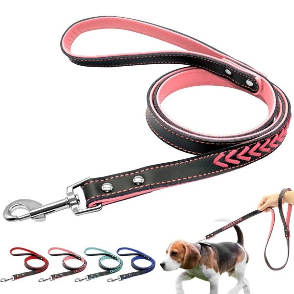 accessoire chien laisse cuir rembourré