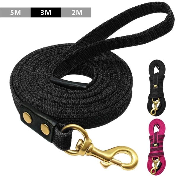 accessoire de dressage pour chien