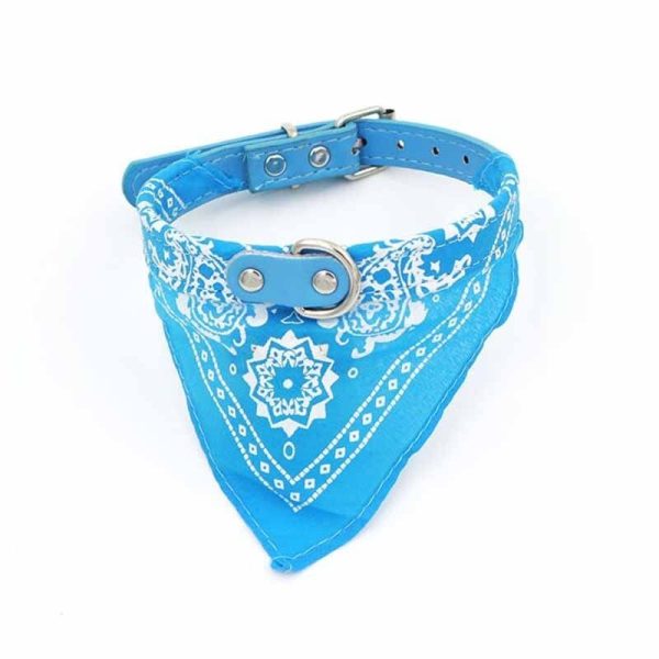 collier bandana chien
