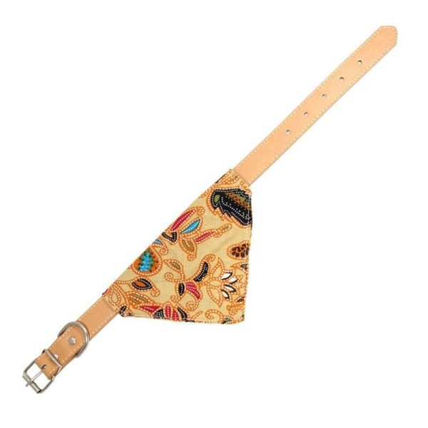 collier bandana chien jack russel