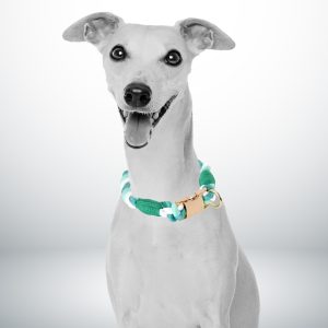 collier chien corde en coton