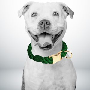 collier chien corde vert émeraude