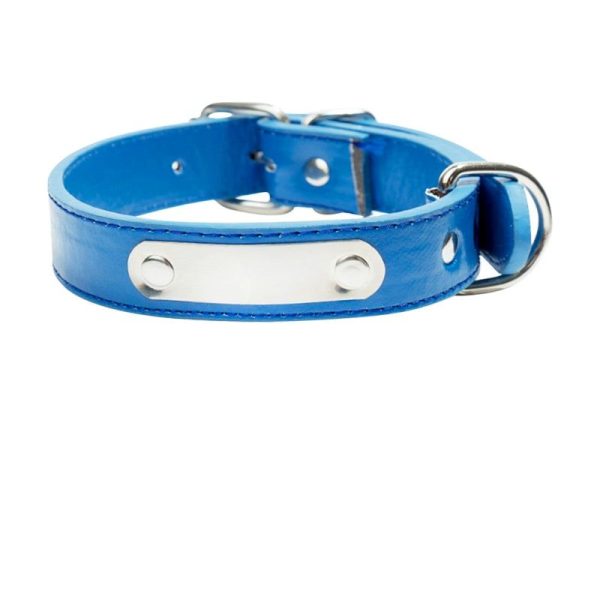 collier chien cuir bleu gravé