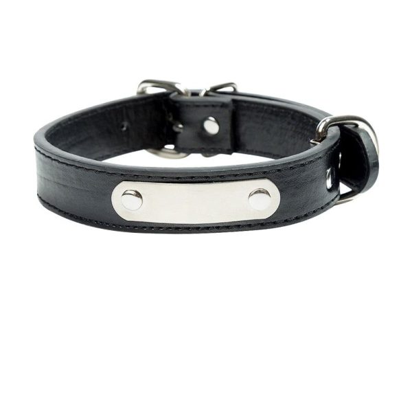 collier chien cuir noir gravé