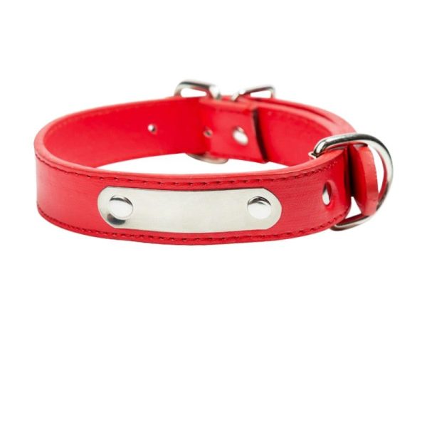 collier chien cuir rouge personnalisable - animal lovers