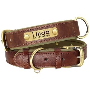 collier chien en cuir personnalisable