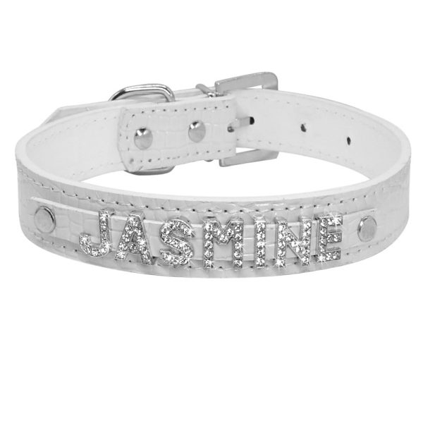 collier chien personnalisable strass