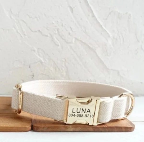 collier chien personnalisé blanc