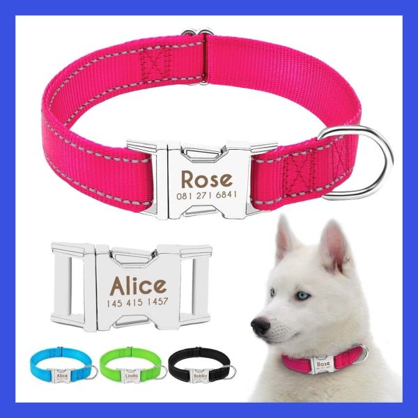 collier chien personnalisé réfléchi