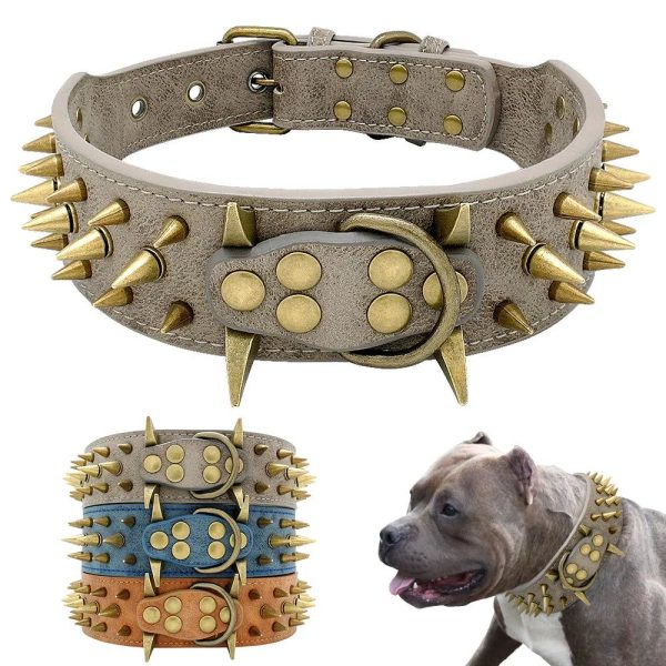 collier clouté chien moyen à grand
