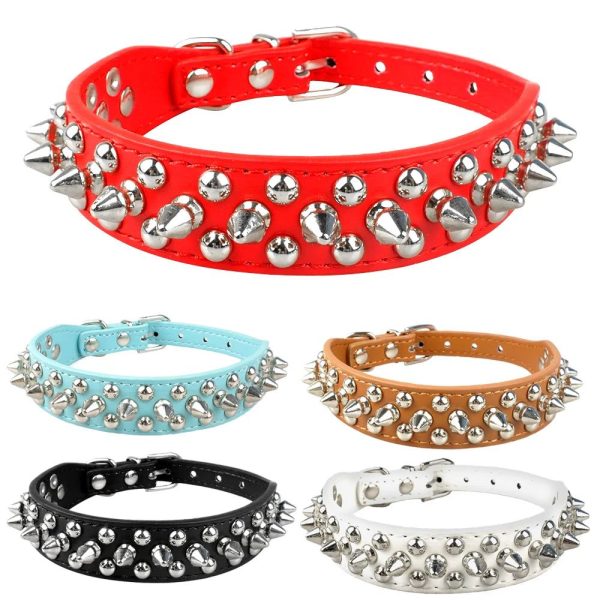 collier clouté pour chien