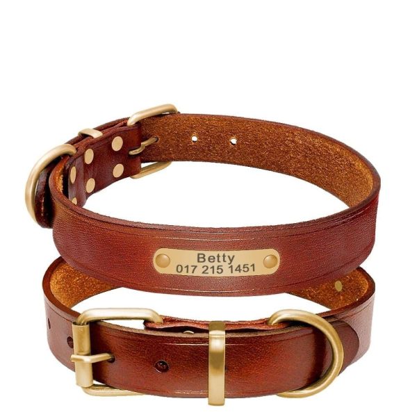 collier gravé chien en cuir