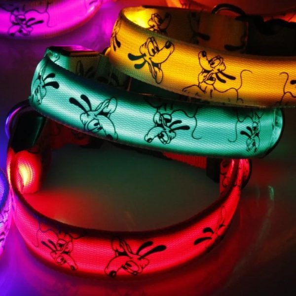 collier LED pour chien