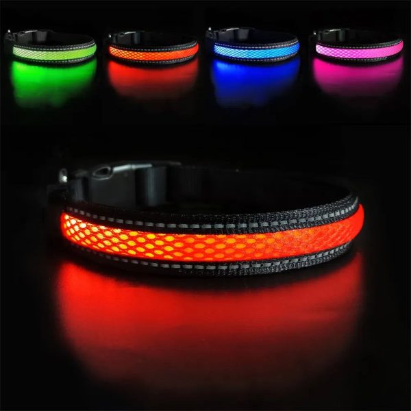 collier lumineux chien LED
