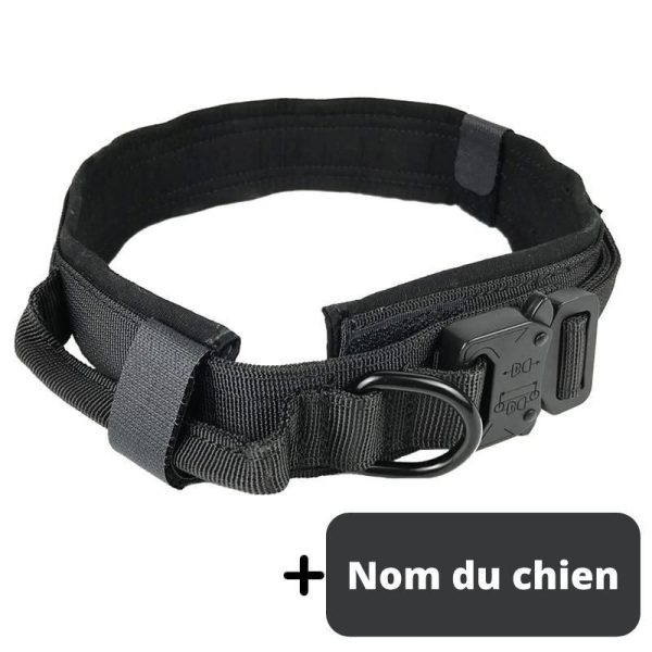 collier nylon pour chien Animal Lovers