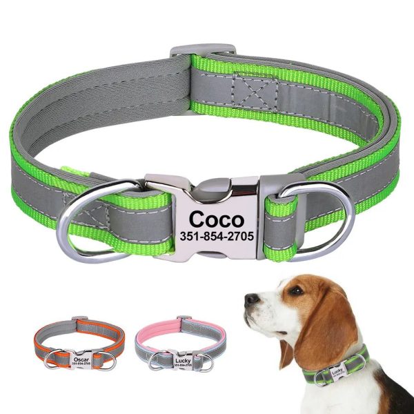 collier personnalisé chien rembourré