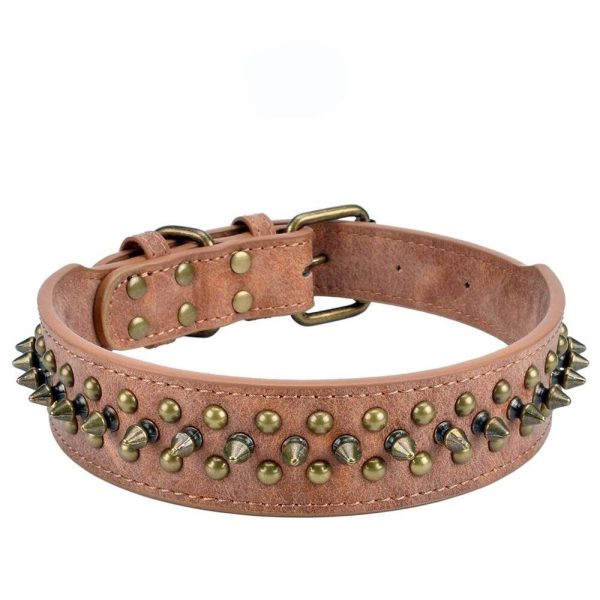 collier pour American Staff