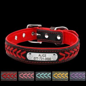collier pour chien avec tresses personnalisable