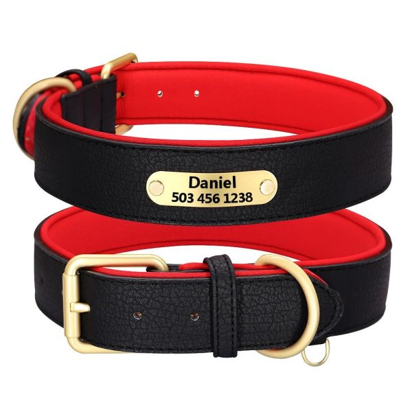 collier pour chien de chasse gravé