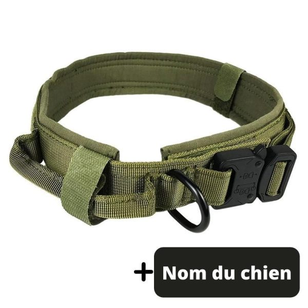 collier pour chien en nylon