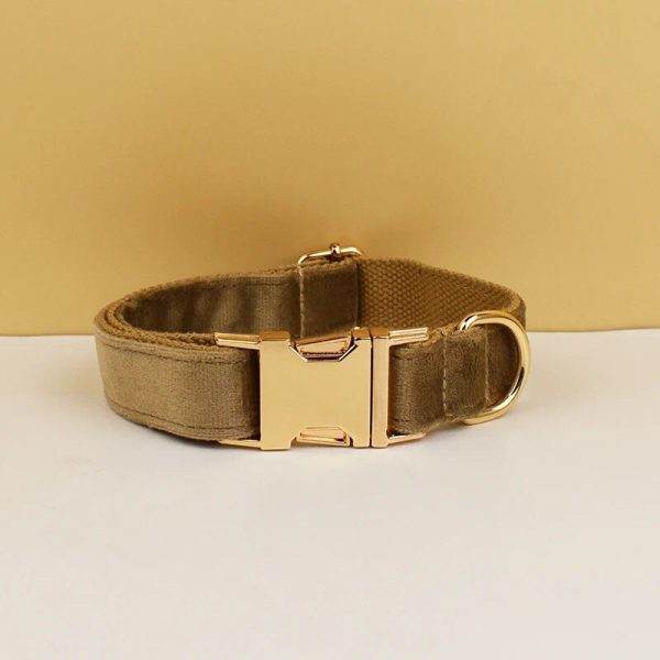 collier pour chien en velours personnalisable