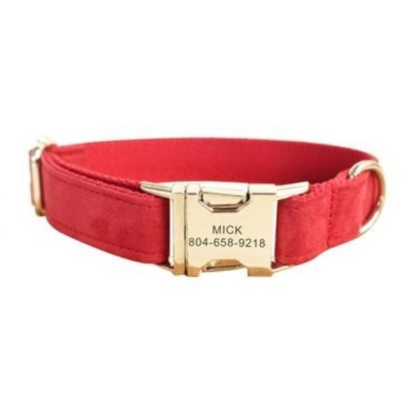 collier pour chien en velours personnalisable