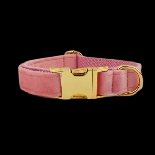 collier pour chien en velours personnalisé