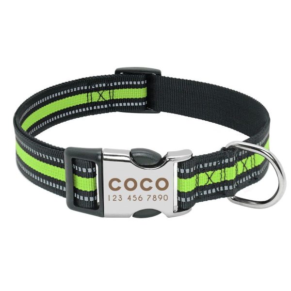 collier pour chien fluo gravé