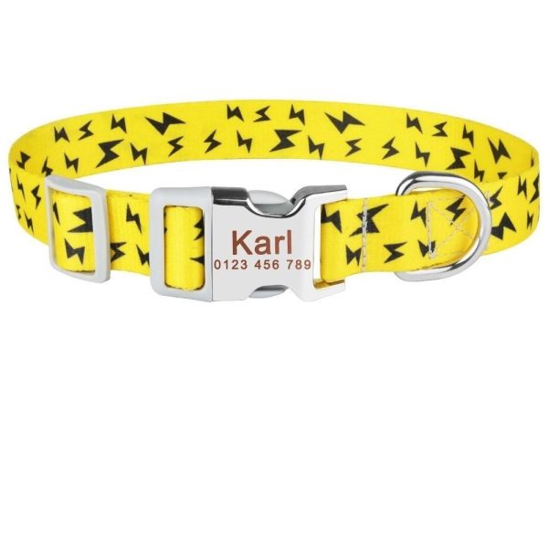 collier pour chien jaune fluo personnalisé