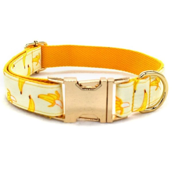 collier pour chien jaune gravé