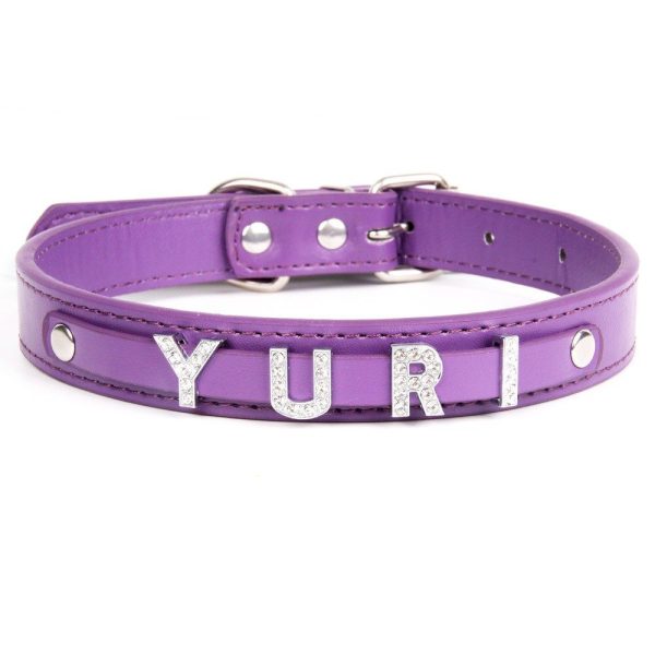 collier pour chien mauve - animal lovers