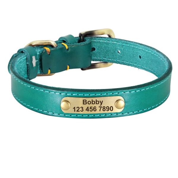 collier pour chien vert - animal lovers