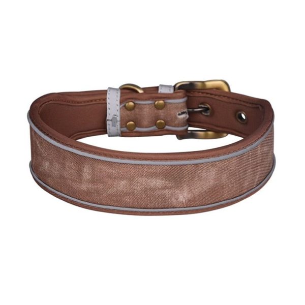 collier pour whippet