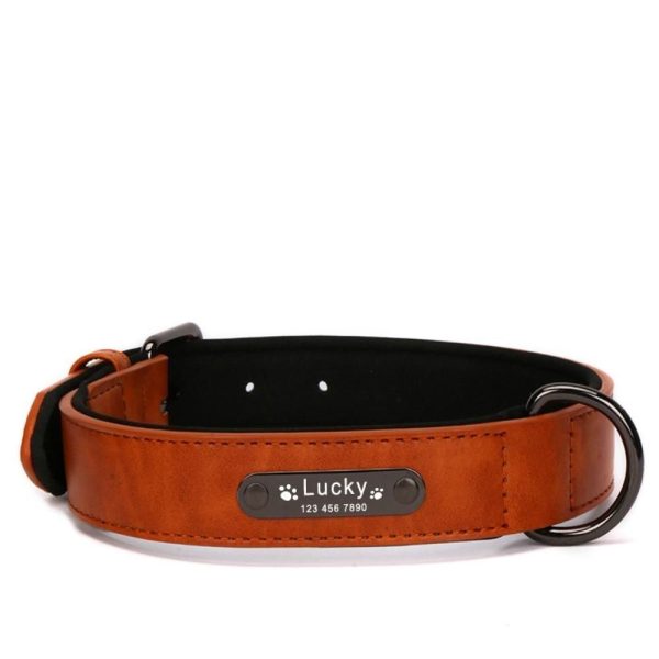 collier prénom pour chien