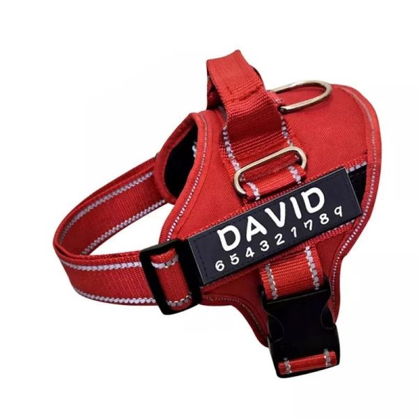 harnais personnalisé chien David
