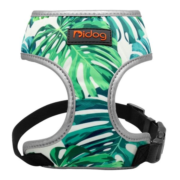 harnais pour bulldog anglais