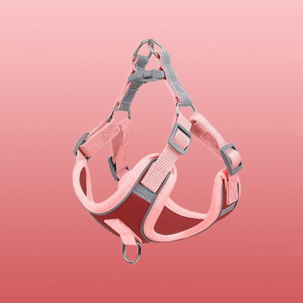 harnais pour chien solide