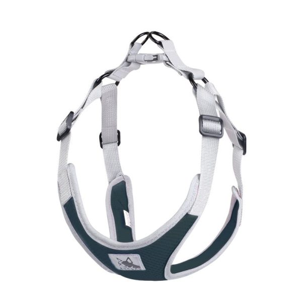 harnais pour epagneul