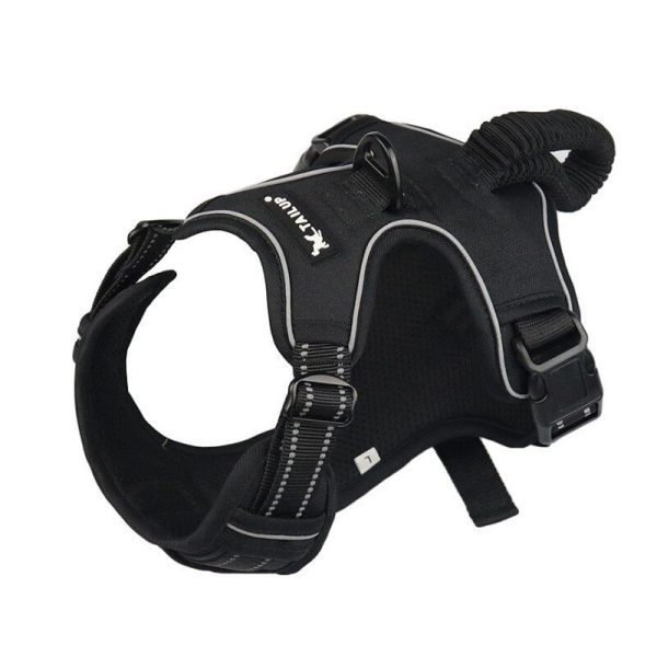 harnais pour Golden Retriever