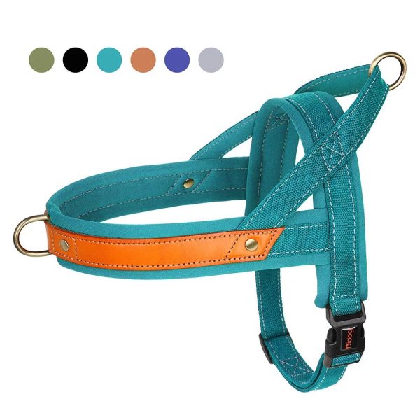 harnais rembourré nylon cuir chien